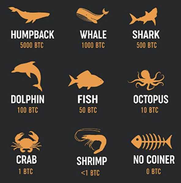 ranks-of-bitcoin-holders